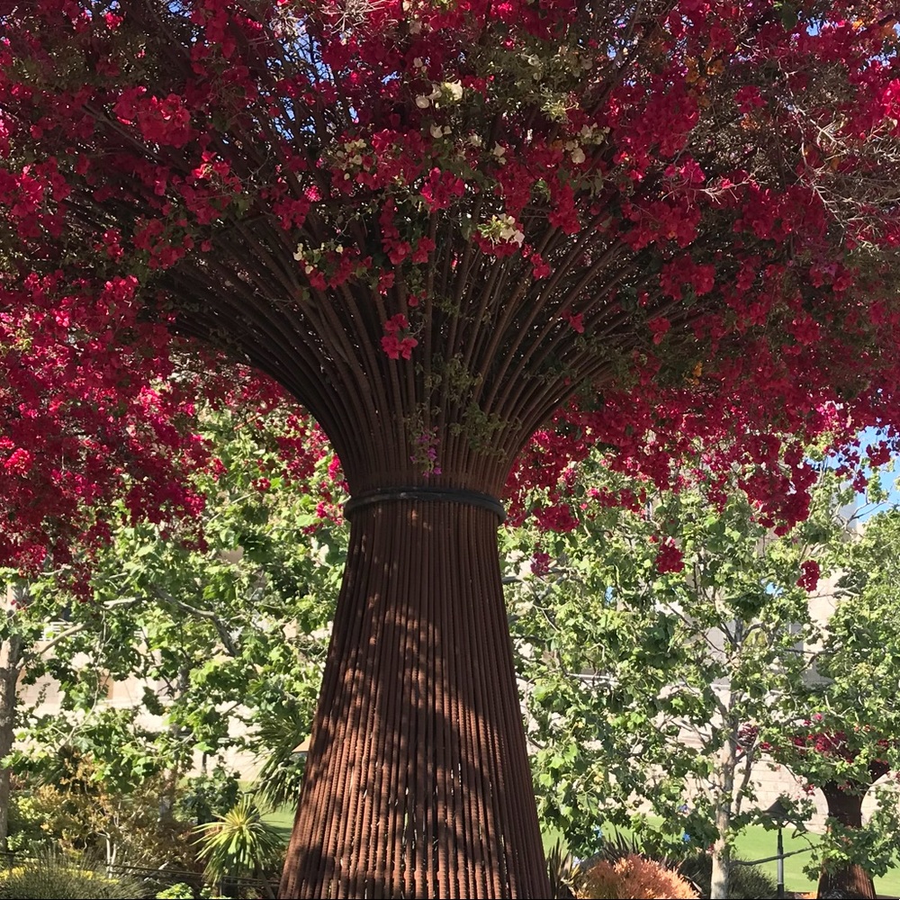 Meet your Posher, Narda